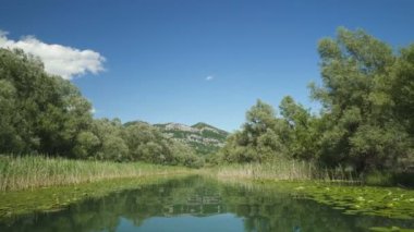 Crnojevicha nehri ve tekneden Skadar gölü manzarası