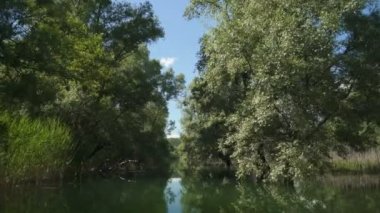 Crnojevicha nehri ve tekneden Skadar gölü manzarası