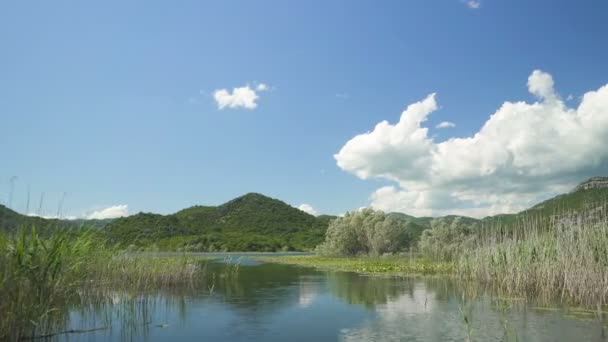 Crnojevicha folyó és a Skadar-tó kilátás a hajóról — Stock videók