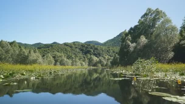 Ποταμός Crnojevicha και θέα στη λίμνη Skadar από το σκάφος — Αρχείο Βίντεο