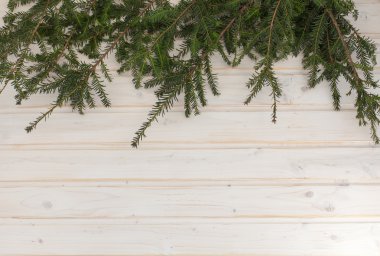 bir tabloda Ladin şube