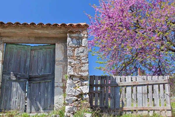 Old rustic doorway — Stock Photo, Image