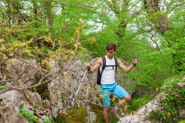 Sportlicher Wanderer wandert durch Wald — Stockfoto