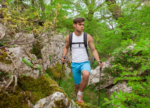 Escursionista sportivo a piedi attraverso la foresta — Foto Stock