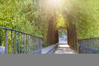 Bambu geçit girişine park