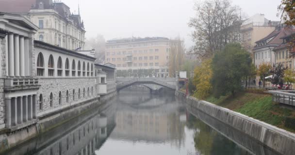 Ljubljanica rivier en drie bruggen in de achtergrond — Stockvideo