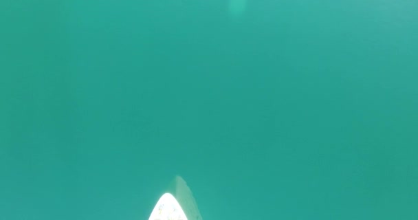 Flygfoto över kryssningsfartyg i fjärden av Kotor — Stockvideo