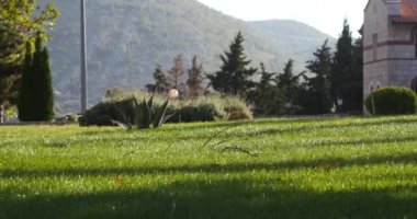Trebin Ortodoks Manastırı