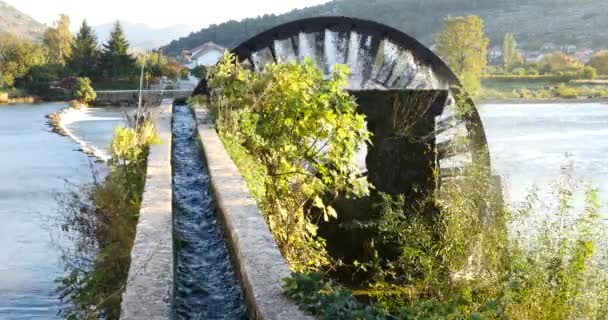 Uma roda de água para levantar a água para irrigação dos campos de uvas — Vídeo de Stock