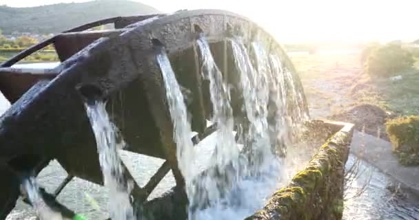 Водяное колесо для подъема воды для полива виноградных полей — стоковое видео