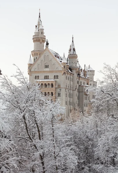 Castillo de Neuschwanstein en paisaje invernal — Foto de Stock