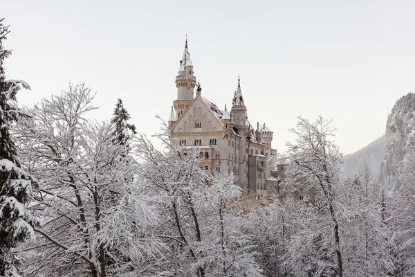 Castillo de Neuschwanstein en paisaje invernal — Foto de Stock