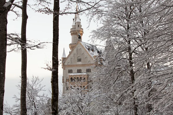 Castelo de Neuschwanstein na paisagem de inverno — Fotografia de Stock
