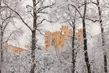 Kış manzara Castle Hohenschwangau