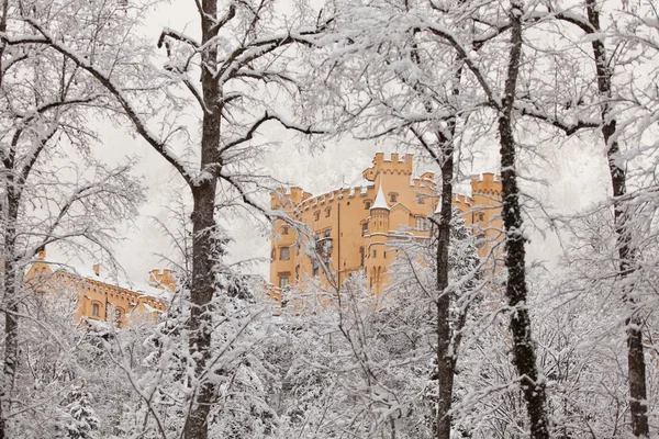 Castello di Hohenschwangau nel paesaggio invernale Foto Stock Royalty Free