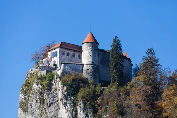 Castillo de Bled construido en la cima de un acantilado con vistas al lago — Foto de Stock