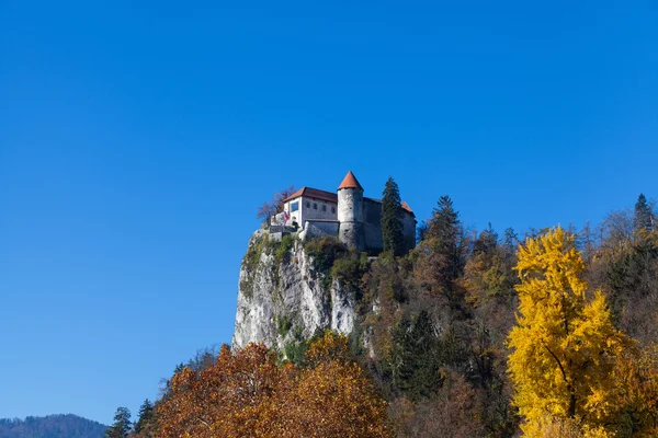 Castelo de Bled construído no topo de um penhasco com vista para o lago — Fotografia de Stock