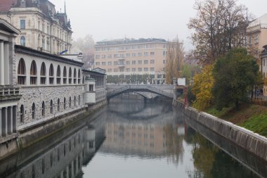 Ljubljanica Nehri'nin ve Ljubljana merkezi Pazar