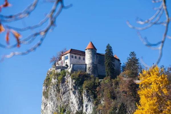 Castelo de Bled construído no topo de um penhasco com vista para o lago — Fotografia de Stock