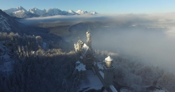 มุมมองทางอากาศของปราสาท Neuschwanstein ที่พระอาทิตย์ขึ้นในภูมิทัศน์ฤดูหนาว . — วีดีโอสต็อก