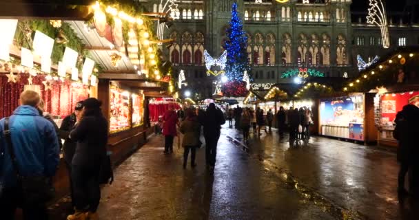 VIENNA, AUSTRIA - 30 NOVEMBER 2015: The outside of Christmas Market at Rathaus. — Stock Video