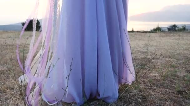 The bride and groom posing on the sunset — Stock Video