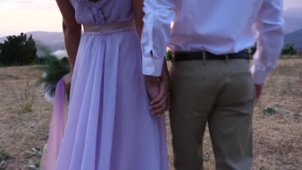 Bruden och brudgummen poserar på solnedgången — Stockvideo