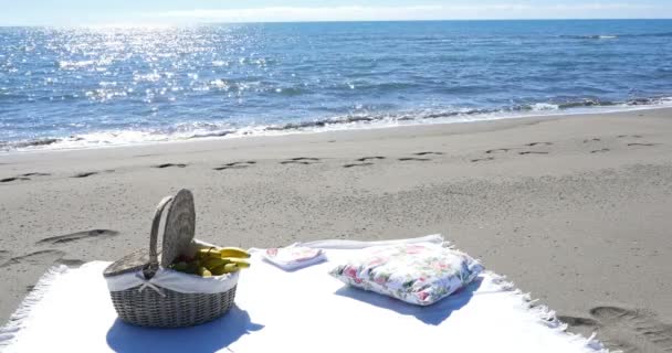 Un panier de fruits et une couverture pour un pique-nique sur la plage de sable — Video