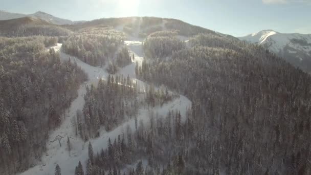 Vue aérienne de la station de ski — Video