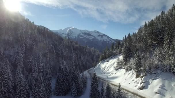 Luchtfoto van besneeuwde bergen — Stockvideo