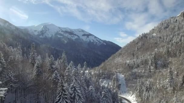 Vista aérea de montanhas cobertas de neve — Vídeo de Stock