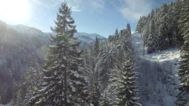 Karla kaplı dağ havadan görünümü