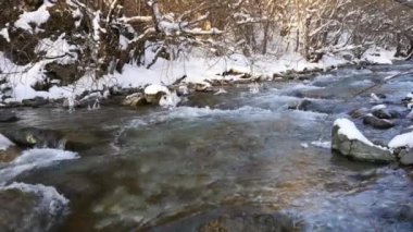 Karlı ormandaki nehir