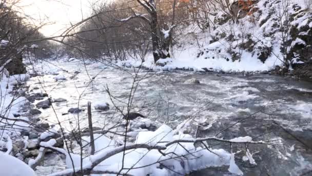 Fluss im verschneiten Wald — Stockvideo
