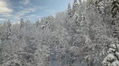 Kayak merkezinin hava görüntüsü