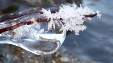 Karlı ormandaki nehir