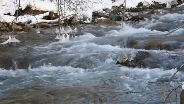 Річка в засніжений ліс — стокове відео