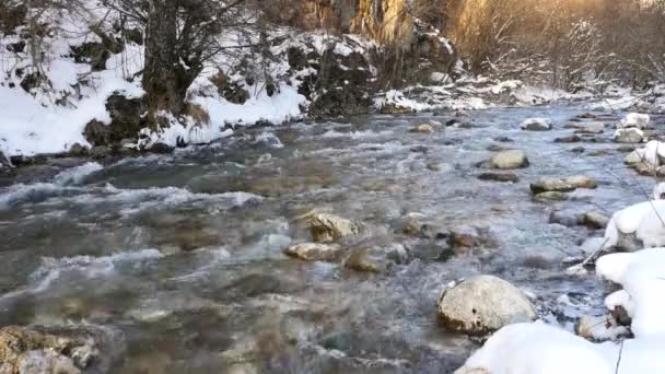 Řeka v zasněženém lese — Stock video