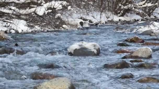 Floden i snöiga skogen — Stockvideo