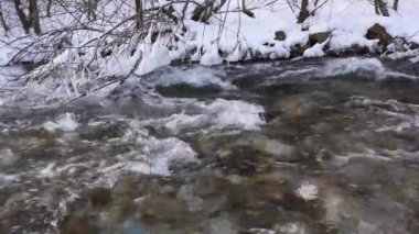 Karlı ormandaki nehir