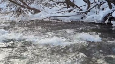 Karlı ormandaki nehir