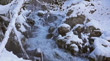 Karlı ormandaki nehir