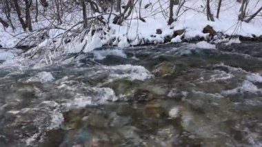 Karlı ormandaki nehir
