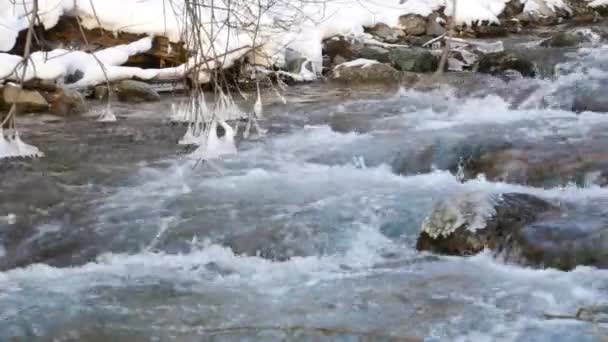 Rivière dans la forêt enneigée — Video