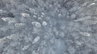 Karla kaplı dağ havadan görünümü