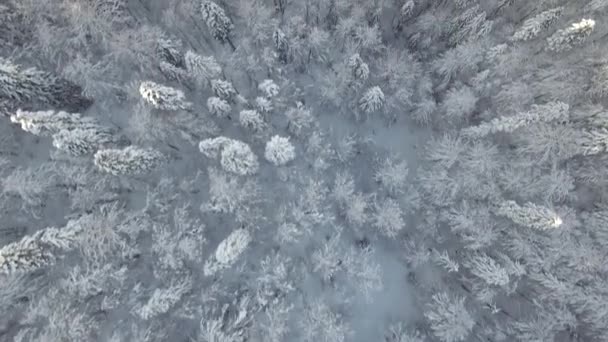 Vista aérea de montanhas cobertas de neve — Vídeo de Stock