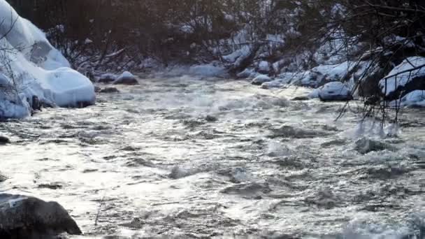 Река в снежном лесу — стоковое видео