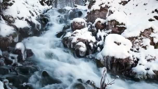 Vody ve zmrazených proudu. Snowy river v lese v zimě. Dlouhé expozice — Stock video
