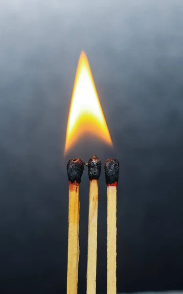 Group of a red match burning isolated with the background. Row burning matchstick in the chain reaction. Matchstick art photography.