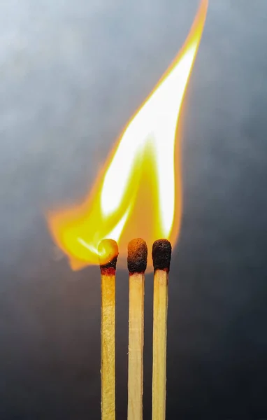 Group of a red match burning isolated with the background. Row burning matchstick in the chain reaction. Matchstick art photography.